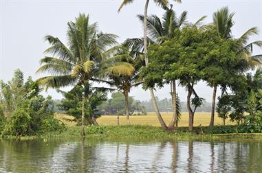 Houseboat-Tour from Alleppey to Kollam_DSC6528_H600